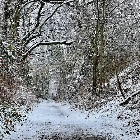 Tatil Evi 'au Bout Du Tige' Braives