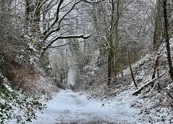 Ferienhaus 'au Bout Du Tige' Braives